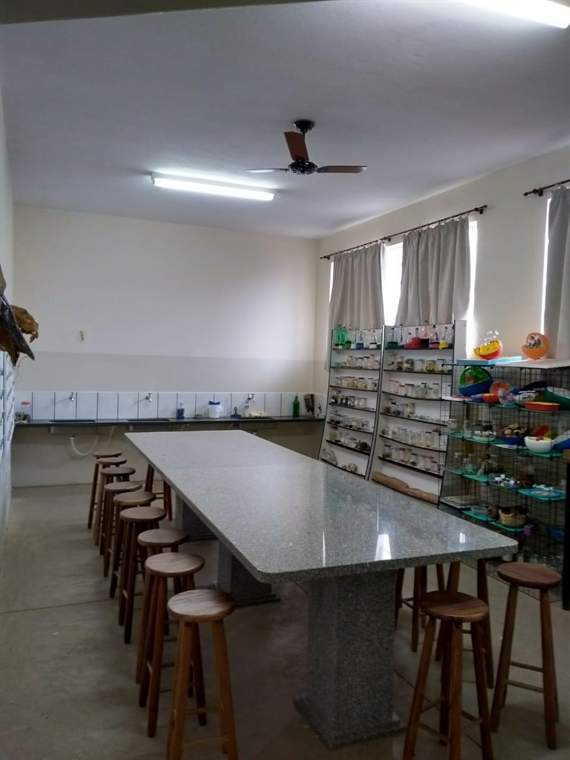 Bancada do laboratório de ciências com vidrarias e amostras