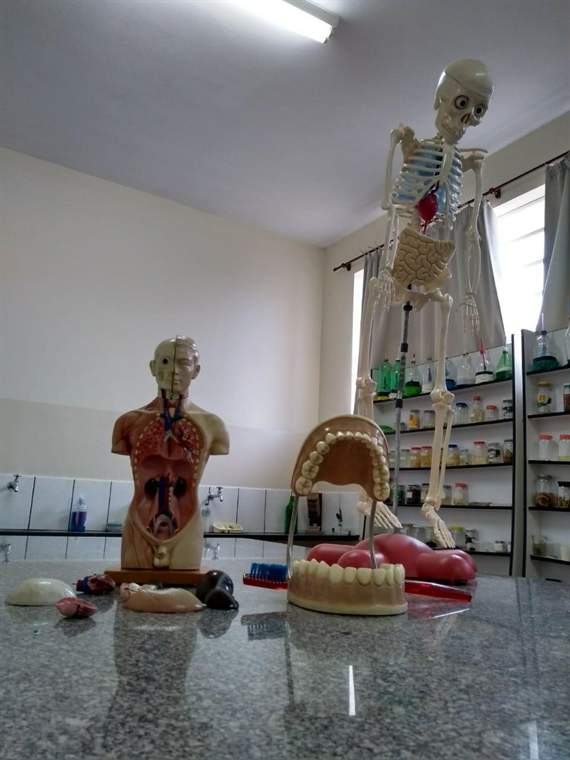 Laboratório de ciências com esqueleto e modelos anatômicos